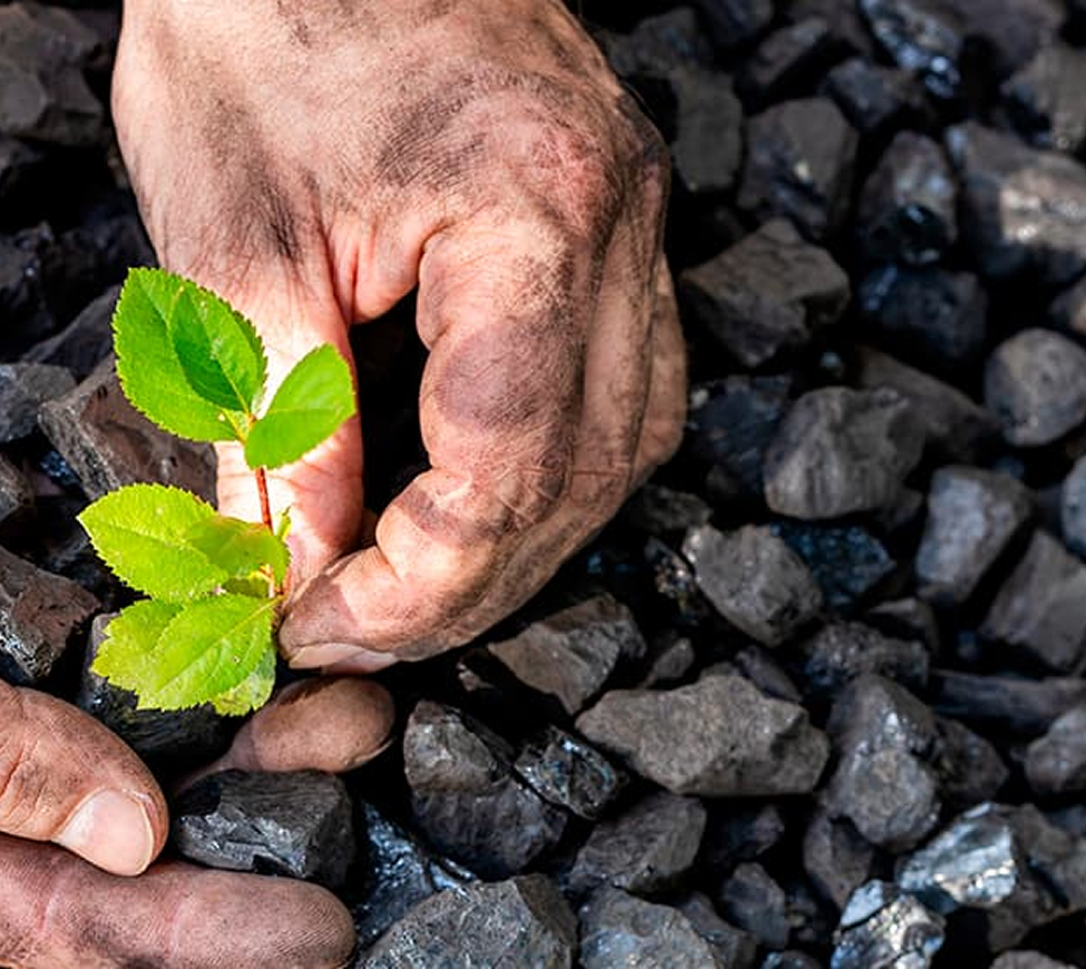minería responsable, minería sostenible, minería ética, México, desarrollo social, impacto ambiental, recursos naturales, comunidades locales