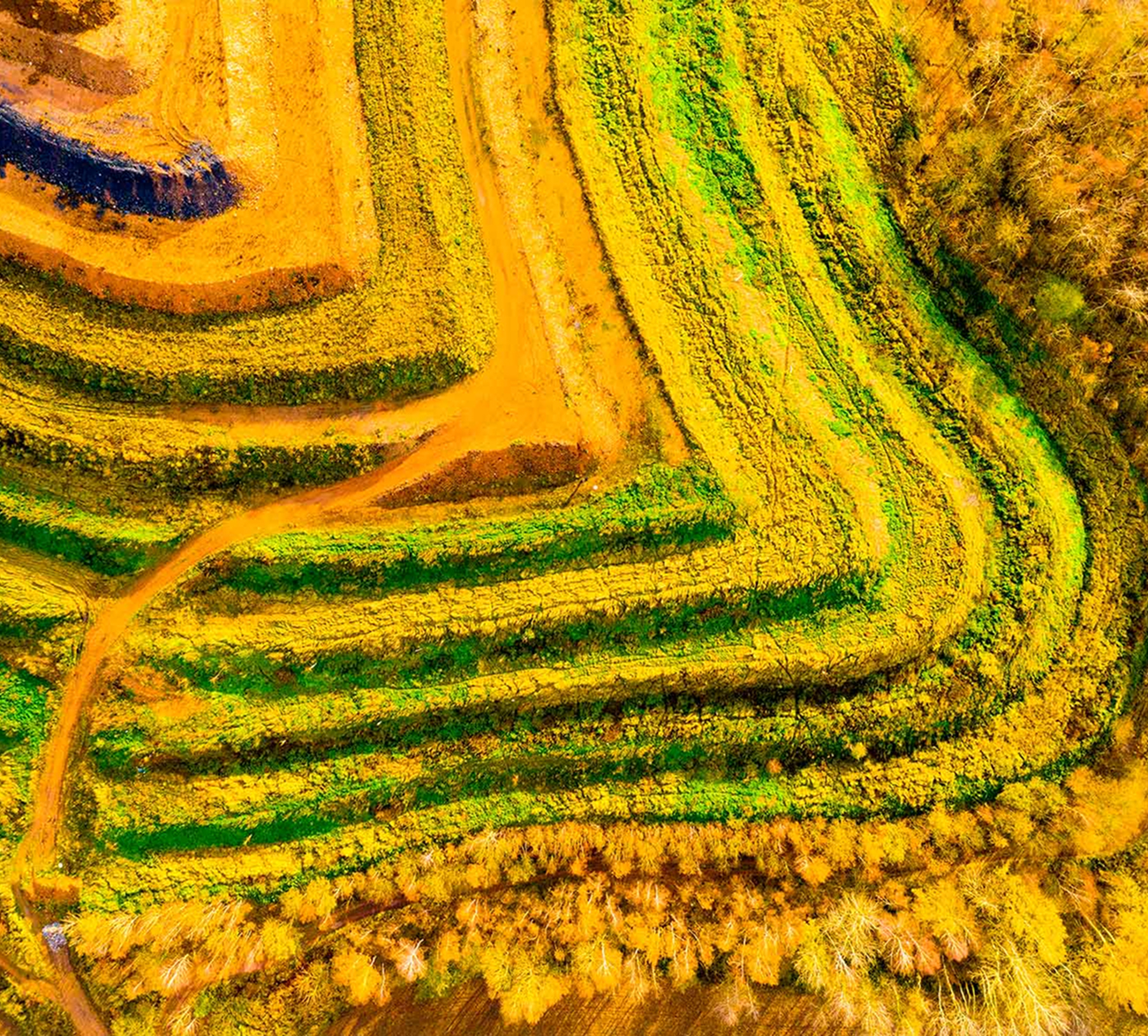 minería responsable, minería sostenible, minería ética, México, desarrollo social, impacto ambiental, recursos naturales, comunidades locales